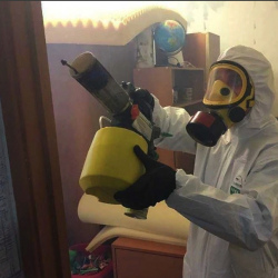 Уничтожение клопов в квартире. Давлеканово